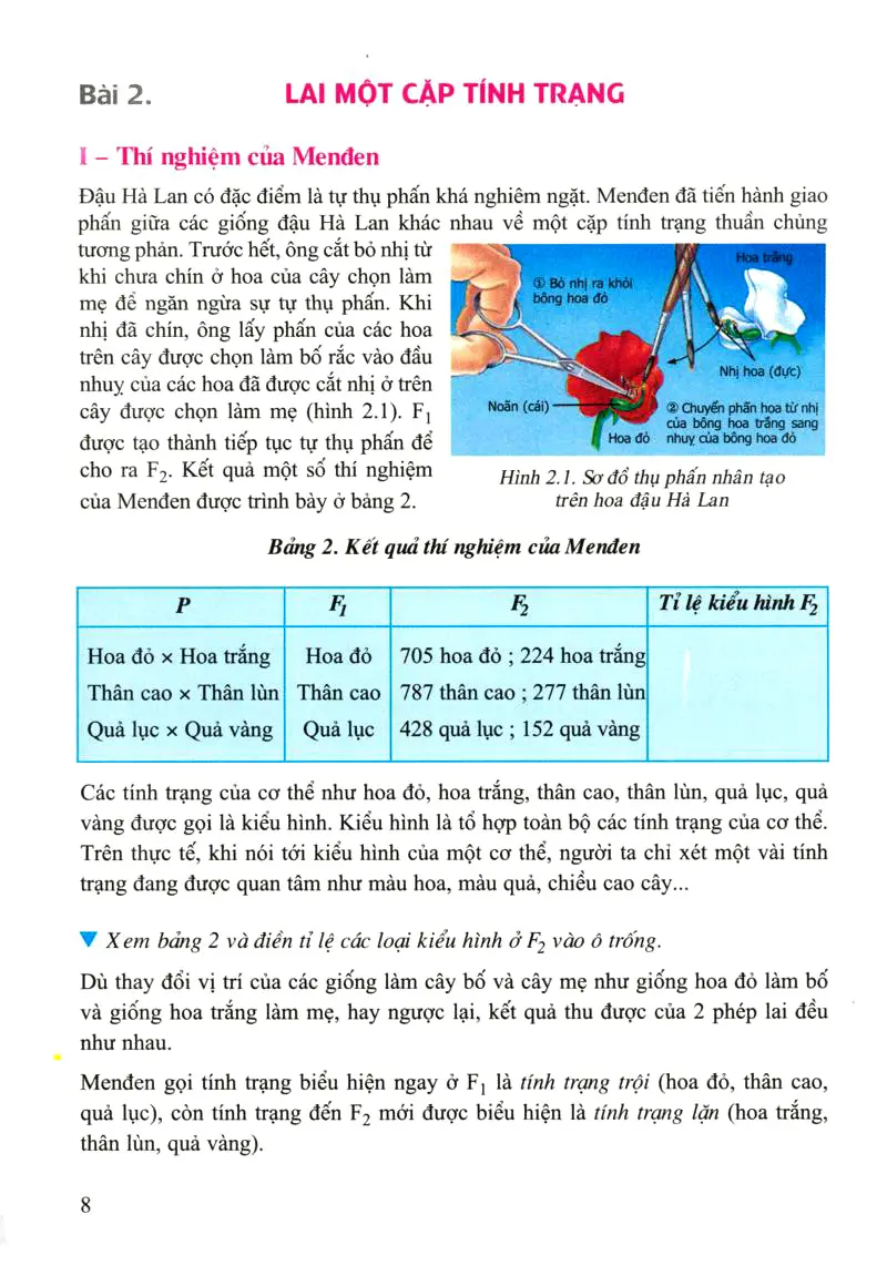 Bài 2: Lai một cặp tính trạng