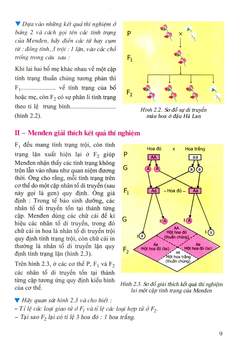 Bài 2: Lai một cặp tính trạng