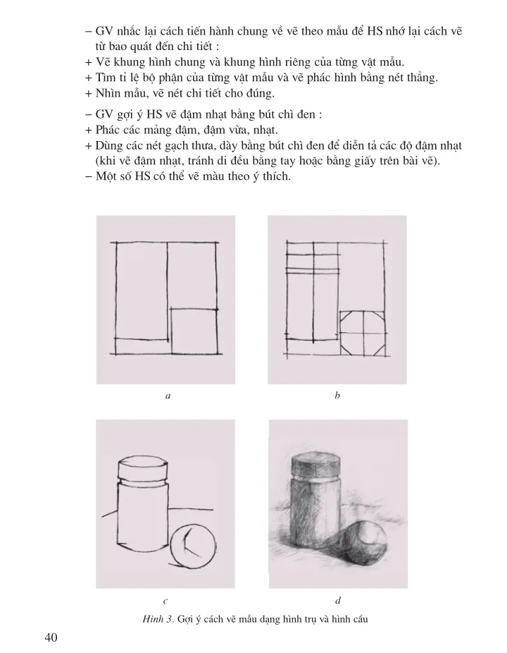 Soạn mĩ thuật lớp 6 Bài 15 : Vẽ theo mẫu : Mẫu dạng hình trụ và hình cầu ( vẽ  hình ) | Âm nhạc và mỹ thuật lớp 6