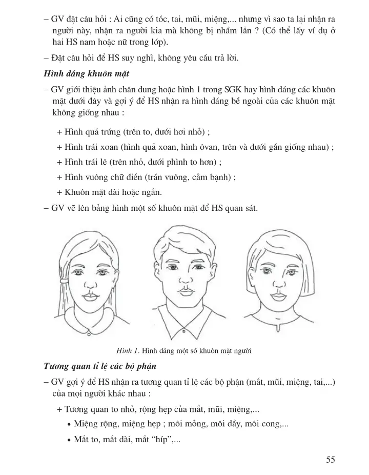 SGV Scan] ✓ Bài 13 Vẽ theo mẫu Giới thiệu tỉ lệ khuôn mặt người ...