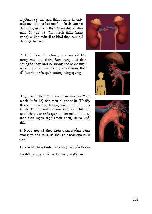 Bài 10. Làm quen với giải phẫu cơ thể người bằng phần mềm Anatomy