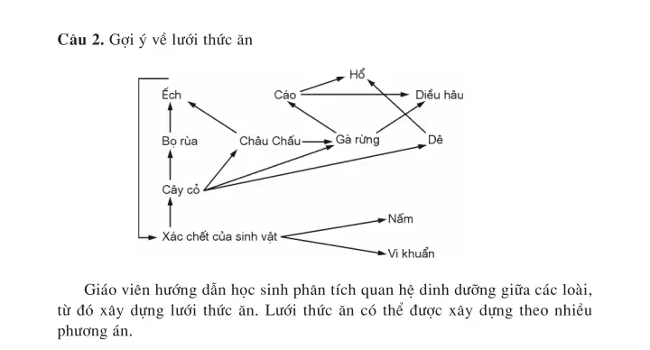 Bài 50. Hệ sinh thái