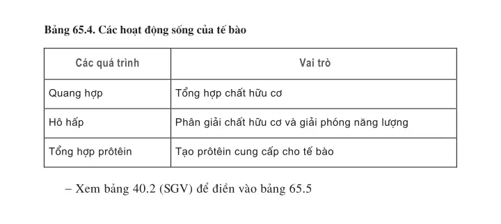 Bài 65. Tổng kết chương trình toàn cấp (tiếp theo)