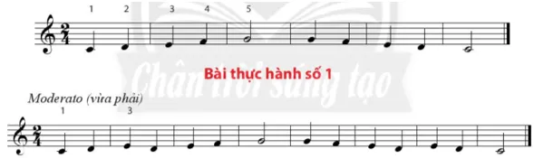 Bài thực hành số 2 Nhac Cu Tiet Tau Bai Thuc Hanh So 2 54859