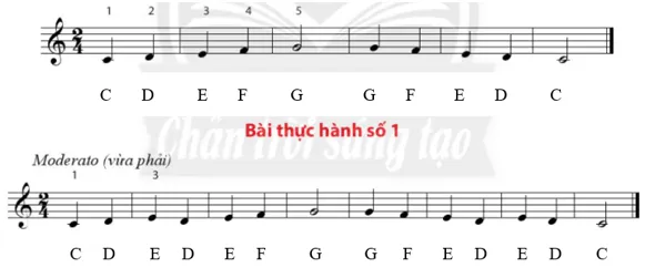 Bài thực hành số 2 Nhac Cu Tiet Tau Bai Thuc Hanh So 2 54860