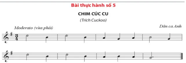 Bài thực hành số 5 Nhac Cu Tiet Tau Bai Thuc Hanh So 5 55146