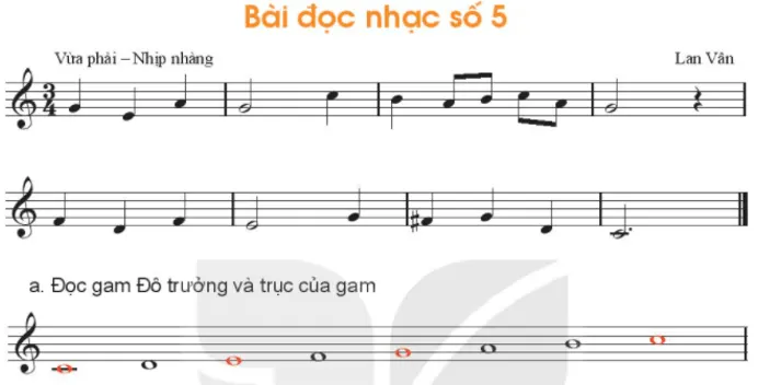 Bài đọc nhạc số 5 Doc Nhac Bai Doc Nhac So 5 55477