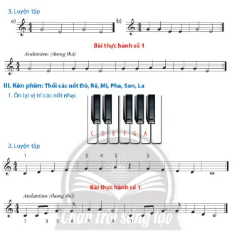 Bài thực hành số 1 trang 8, 9 Âm nhạc lớp 7 Chân trời sáng tạo Nhac Cu Bai Thuc Hanh So 1 A