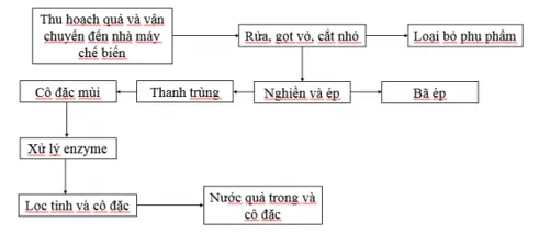 Vẽ sơ đồ quy trình chế biến nước quả cho biết công nghệ enzyme được áp dụng ở công đoạn nào Cau 7 Trang 107 Cong Nghe 10 Cntt 144298