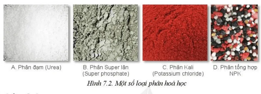 Kể tên và cho biết đặc điểm của các loại phân bón hoá học trong Hình 7.2 Cau Hoi 2 Trang 40 Cong Nghe 10 Cntt