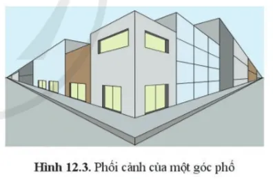 Quan sát hình 12.3 và cho biết Cau Hoi 2 Trang 58 Cong Nghe 10 Tkcn