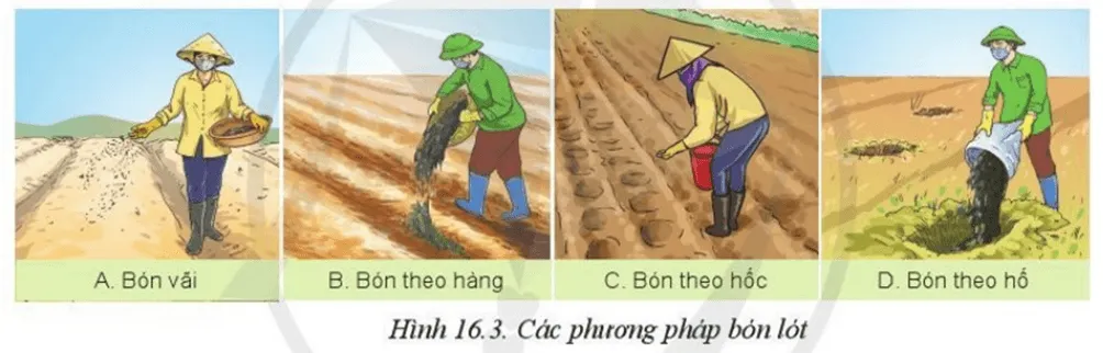 Quan sát các phương pháp bón lót Hình 16.3 cho biết mỗi phương pháp thích hợp với loại cây trồng nào Cau Hoi 2 Trang 88 Cong Nghe 10 Cntt 1 144273