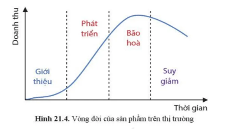 Quan sát hình 21.4 và cho biết vòng đời của sản phẩm trên thị trường trải qua mấy giai đoạn Cau Hoi Trang 106 Cong Nghe 10 Tkcn 1 144859