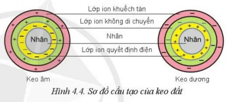 Quan sát Hình 4.4 và mô tả cấu tạo của hạt keo đất Cau Hoi Trang 23 Cong Nghe 10 Cntt