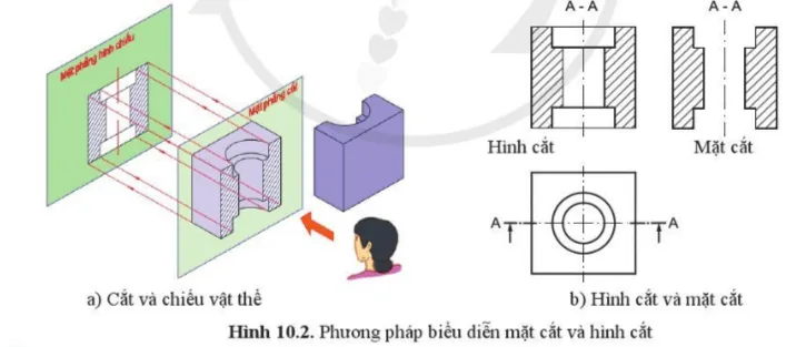 Quan sát hình 10.2b, hình 10.2c và cho biết sự khác nhau giữa hình cắt và mặt cắt Cau Hoi Trang 50 Cong Nghe 10 Tkcn