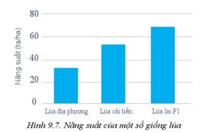 Hãy nhận xét về năng suất của các giống lúa trong Hình 9.7 Cau Hoi Trang 52 Cong Nghe 10 Cntt