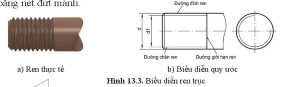 Quan sát hình 13.3b và hình 13.4b cho biết Đường đỉnh ren, đường chân ren và đường giới hạn ren Cau Hoi Trang 65 Cong Nghe 10 Tkcn 144807