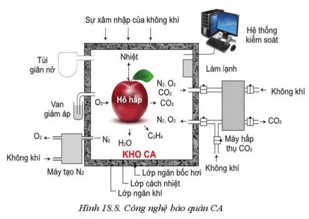 Quan sát Hình 18.8 và cho biết trong kho bảo quản CA, khí nào được điều chỉnh Luyen Tap 1 Trang 101 Cong Nghe 10 Cntt 144290