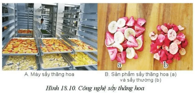 Em hãy so sánh 2 sản phẩm của công nghệ sấy thăng hoa (a) so với công nghệ sấy thường (b) Luyen Tap 2 Trang 101 Cong Nghe 10 Cntt 1 144293