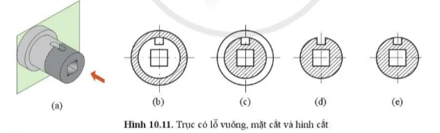 Trục có lỗ xuyên suốt ở giữa và được cắt bằng mặt phẳng cắt như hình 10.11a Luyen Tap 2 Trang 53 Cong Nghe 10 Tkcn