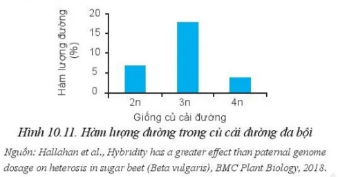 Hãy nhận xét hàm lượng đường trong các giống củ cải đường nhị bộ (2n) và đa bội Luyen Tap 3 Trang 57 Cong Nghe 10 Cntt