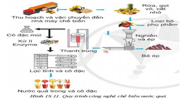 Em hãy cho biết quy trình chế biến nước quả trong Hình 18.11 sử dụng công nghệ gì Luyen Tap Trang 102 Cong Nghe 10 Cntt 144294