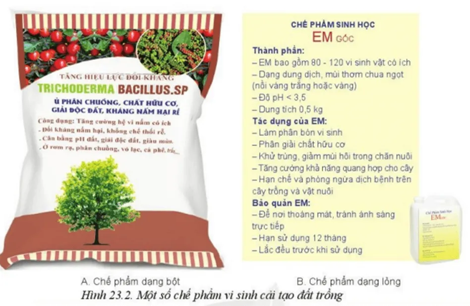 Em hãy đọc thông tin trên bao bì của chế phẩm vi sinh vật trong Hình 23.2 Luyen Tap Trang 125 Cong Nghe 10 Cntt 1 144319