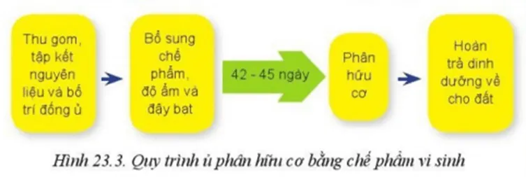 Quá trình xử lí phụ phẩm trồng trọt chế phẩm vi sinh của địa phương em Luyen Tap Trang 125 Cong Nghe 10 Cntt 2 144320