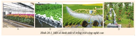 Quan sát Hình 20.1, cho biết công nghệ cao nào được ứng dụng trong trồng trọt Mo Dau Trang 109 Cong Nghe 10 Cntt 144299