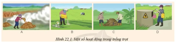 Theo em, hoạt động nào trong Hình 22.1 ảnh hưởng xấu tới môi trường trong trồng trọt Mo Dau Trang 121 Cong Nghe 10 Cntt 144317