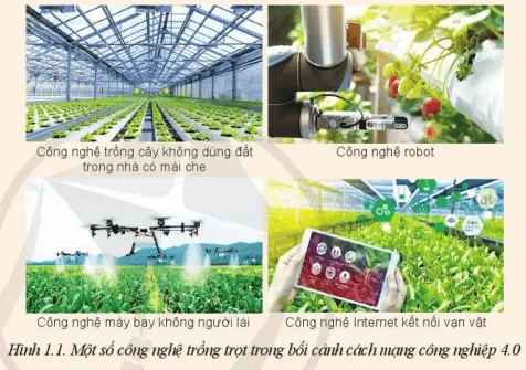 Em hãy mô tả các công nghệ cao được ứng dụng trong trồng trọt ở Hình 1.1 Mo Dau Trang 6 Cong Nghe 10 Cntt