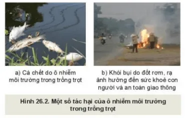 Quan sát Hình 26.2 và nêu ảnh hưởng của ô nhiễm môi trường trong trồng trọt tương ứng với từng ảnh trong hình Kham Pha 1 Trang 135 Cong Nghe 10 Cntt 1