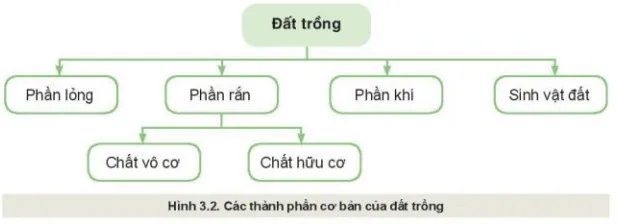 Quan sát Hình 3.2 và nêu các thành phần cơ bản của đất trồng, vai trò của từng thành phần Kham Pha 1 Trang 20 Cong Nghe 10 Cntt 1
