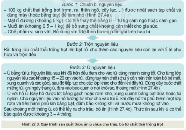 Quan sát Hình 27.3 và mô tả tóm tắt quy trình sản xuất thức ăn ủ chua cho trâu, bò từ chất thải trồng trọt Kham Pha 2 Trang 139 Cong Nghe 10 Cntt 1