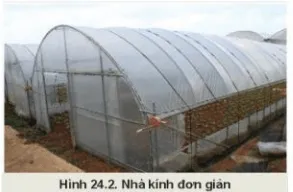 Quan sát Hình 24.1 và 24.2, nhận xét Kham Pha Trang 119 Cong Nghe 10 Cntt 2