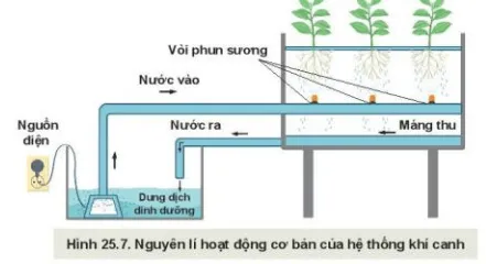 Quan sát Hình 25.7 và mô tả nguyên lí hoạt động của hệ thống khí canh Kham Pha Trang 129 Cong Nghe 10 Cntt 1