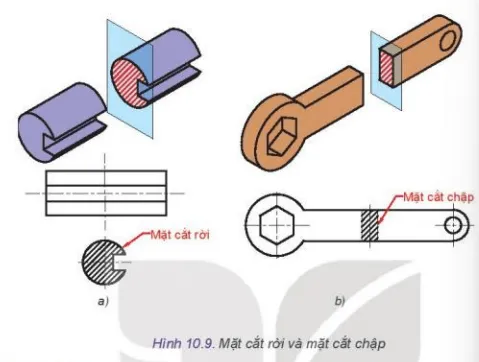 Quan sát Hình 10.9 và thực hiện các nhiệm vụ sau Kham Pha Trang 61 Cong Nghe 10 Tkcn 1