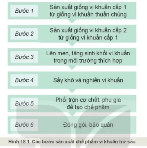 Quan sát Hình 18.1 mô tả các bước sản xuất chế phẩm vi khuẩn trừ sâu? Kham Pha Trang 90 Cong Nghe 10 Cntt 1