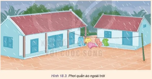 Hãy xác định vấn đề cho tình huống dưới đây Luyen Tap Trang 106 Cong Nghe 10 Tkcn