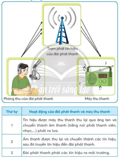 Công nghệ lớp 3 Bài 4: Sử dụng máy thu thanh trang 24, 25, 26, 27, 28, 29 | Chân trời sáng tạo Bai 4 Su Dung May Thu Thanh 135724