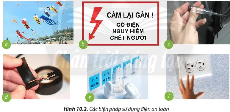 Câu hỏi 2 trang 75 Công nghệ lớp 6 Cau Hoi 2 Trang 75 Cong Nghe Lop 6 Chan Troi 48727