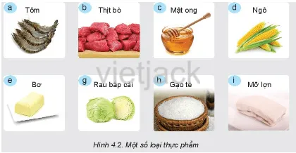 Sắp xếp các thực phẩm vào các nhóm sau: Nhóm thực phẩm giài chất tinh bột, chất đường và chất xơ Luyen Tap Trang 23 Cong Nghe Lop 6 Ket Noi Tri Thuc