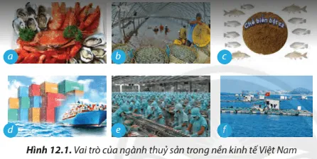 Em hãy nêu vai trò của ngành thuỷ sản được minh hoạ trong Hình 12.1 Cau Hoi 1 Trang 72 Cong Nghe Lop 7 Chan Troi