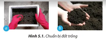 Quan sát Hình 5.1 và cho biết trường hợp nào đảm bảo an toàn nào đảm bảo an toàn lao động trong khâu chuẩn bị đất trồng Cau Hoi 4 Trang 29 Cong Nghe Lop 7 Chan Troi