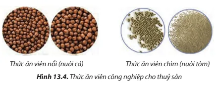 Quan sát Hình 13.2, 13.3 , 13.4, hãy phân biệt và đánh giá ưu, nhược điểm của các loại thức ăn cho tôm, cá Cau Hoi 4 Trang 76 Cong Nghe Lop 7 Chan Troi 2