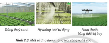 Ứng dụng công nghệ cao trong môi trường hợp Cau Hoi 7 Trang 11 Cong Nghe Lop 7 Chan Troi 1