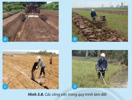 Hãy ghép các công việc a, b, c, d ở Hình 3.8 cho phù hợp với các chú thích 1, 2, 3, 4 ở cột bên  Luyen Tap Trang 21 Cong Nghe Lop 7 Chan Troi