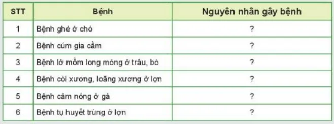Điền nguyên nhân gây bệnh tương ứng với từng bệnh vào bảng dưới đây Ket Noi Nang Luc Trang 53 Cong Nghe Lop 7 Ket Noi