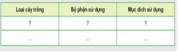 Hoàn thành nội dung theo mẫu bảng dưới đây với các loại cây trồng ? Ket Noi Nang Luc Trang 8 Cong Nghe Lop 7 Ket Noi