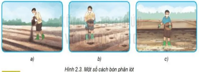 Quan sát Hình 2.3 và nêu các cách bón phân lót tương ứng với mỗi hình Kham Pha 2 Trang 13 Cong Nghe Lop 7 Ket Noi